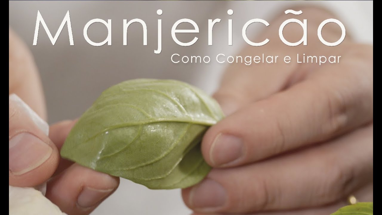 Como Congelar e Limpar Manjericão Fresco . part 2 | Curso de Gastronomia Básica