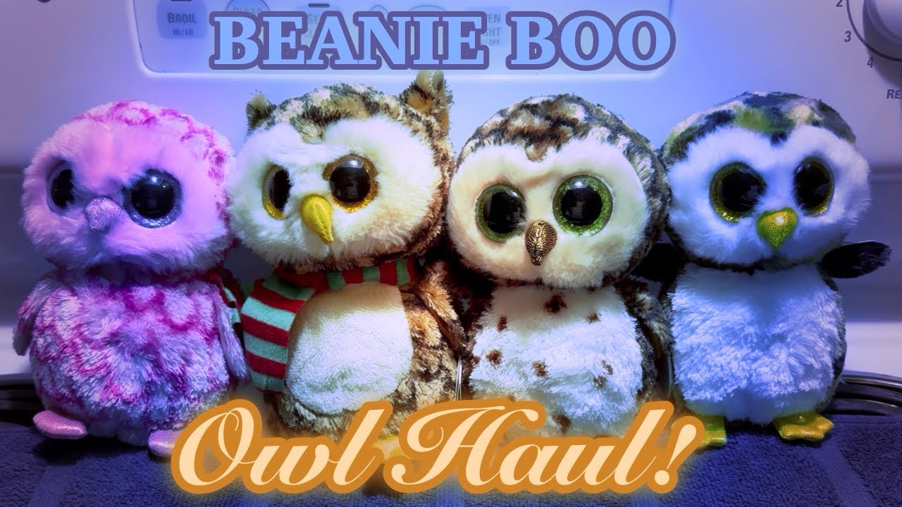 🦉BEANIE BOO OWL HAUL!🦉 || Beanie Boos No. 278-281
