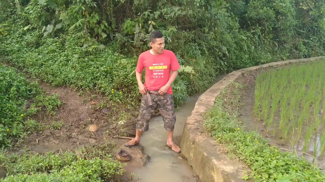 BEOL BERAK  DISAWAH // PARODI