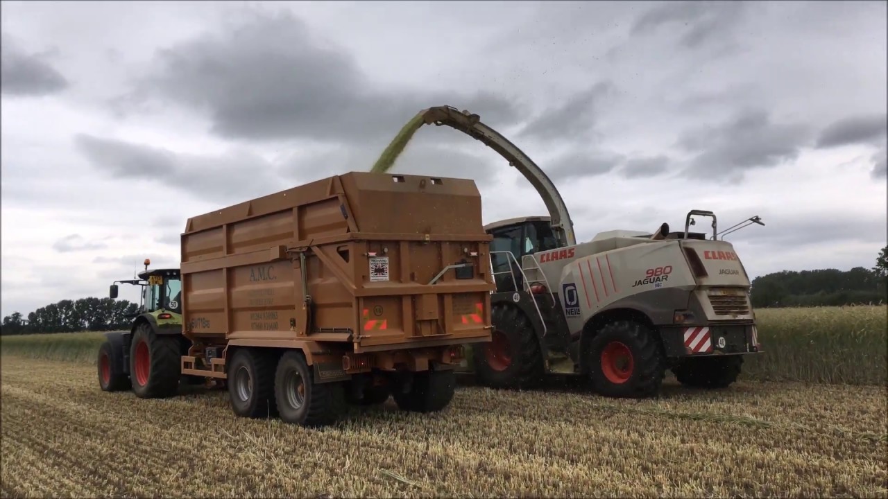 Harvesting Whole Crop Rye - 2017