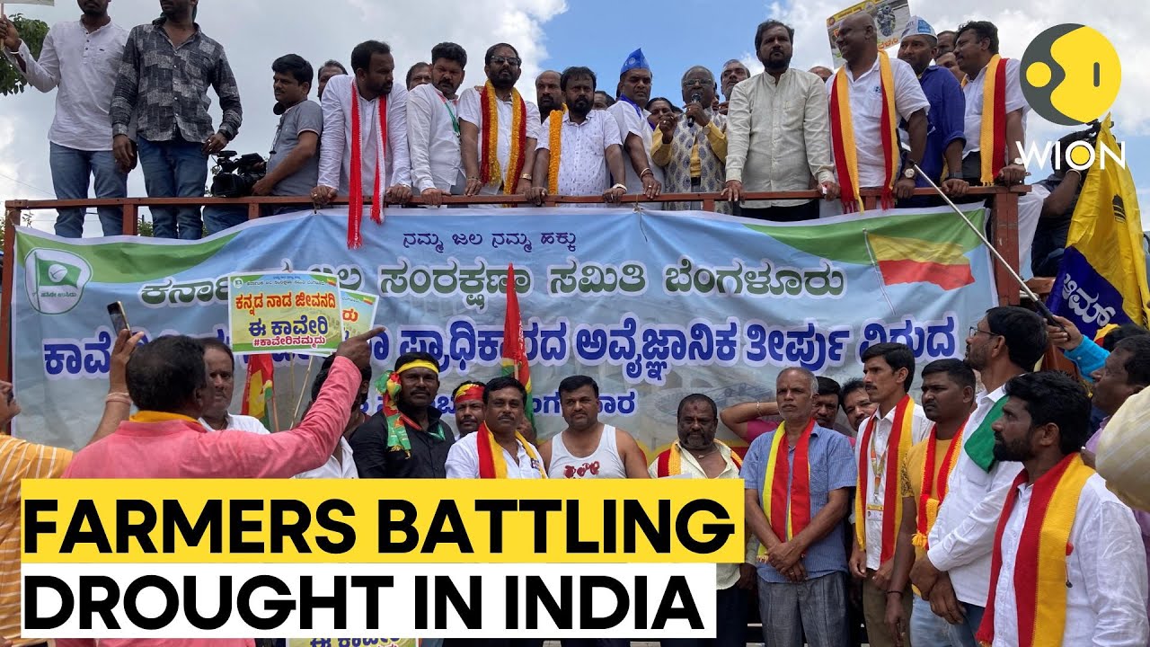 Drought-hit Indian farmers protest against sharing of river water | WION Originals