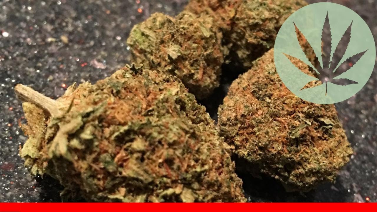 A-Train - All About This Strain