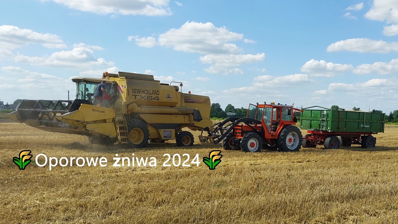 🌾Oporowe żniwa 2024🌾Renault 751.4🌾🌾New Holland TX64🌾