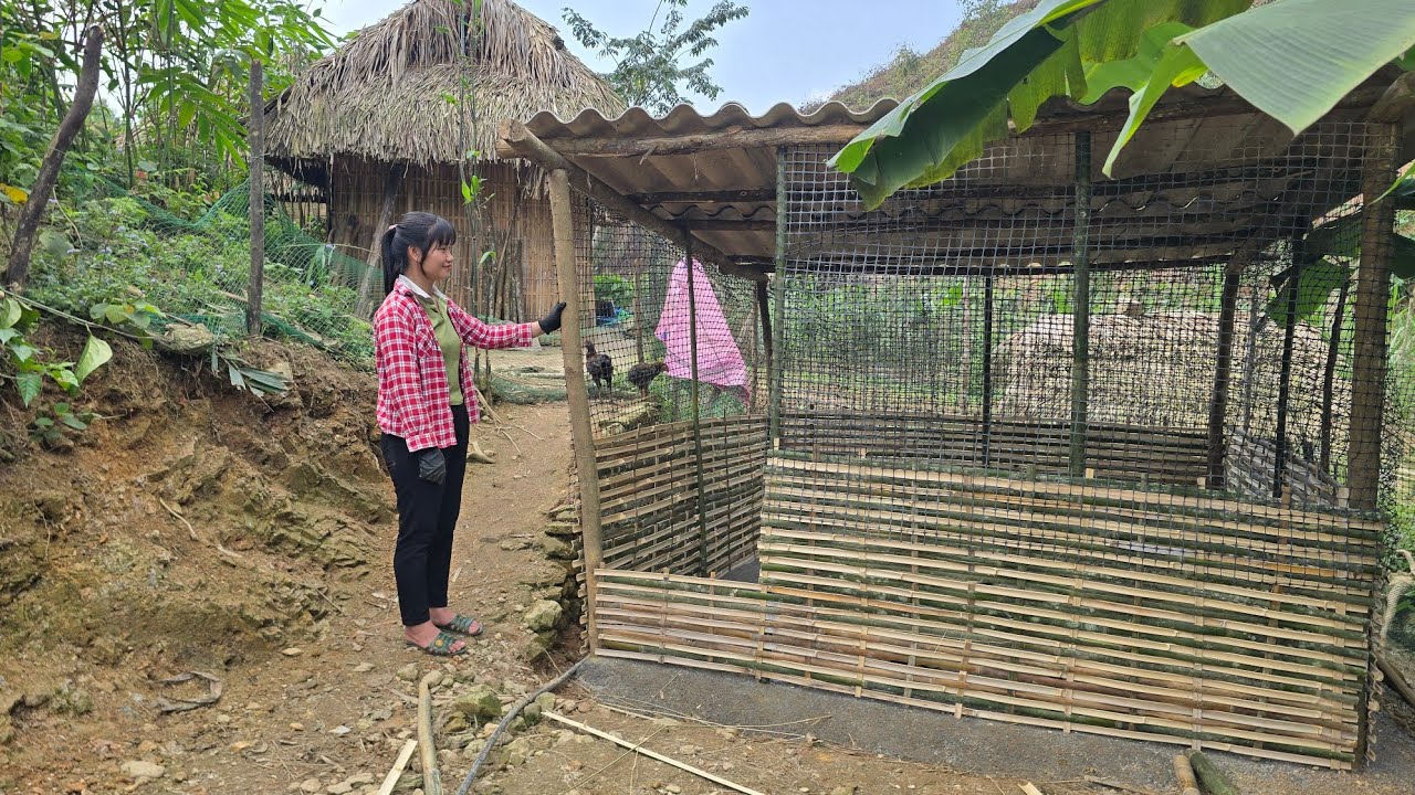 The new barn is ready to welcome new members to the farm | Tiểu Liễu-17 year old