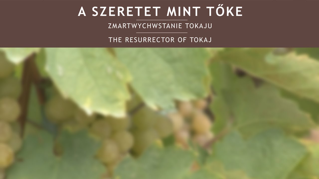 A szeretet mint tőke - Szepsy István portréja