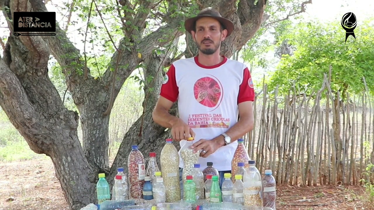 Banco de sementes Crioulas  - parte 1
