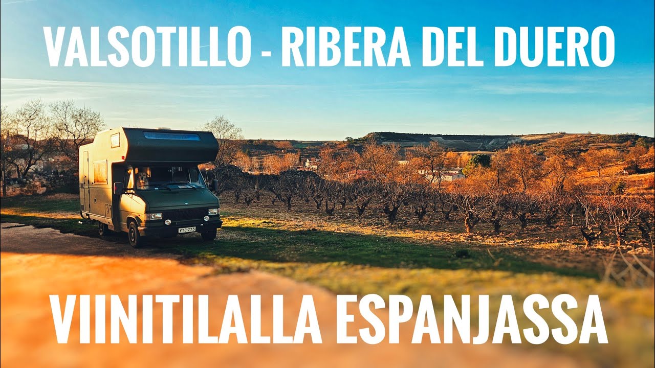 AJETTIIN MATKAILUAUTOLLA VIINITILALLE ESPANJASSA - Sotillo De La Ribera 