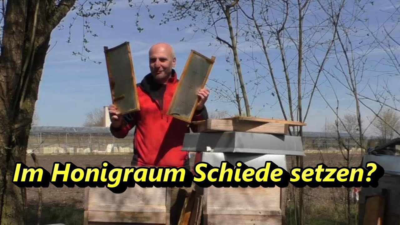 Im Honigraum Schiede setzen?