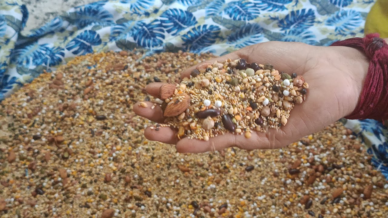 ಆರೋಗ್ಯಕರವಾದ ರಾಗಿ ಮಾಲ್ಟ್ ಹಿಟ್ಟು  ಮಾಡುವ ವಿಧಾನ || ragi malt powder recipe || weight loss ||  ಕನ್ನಡ ||