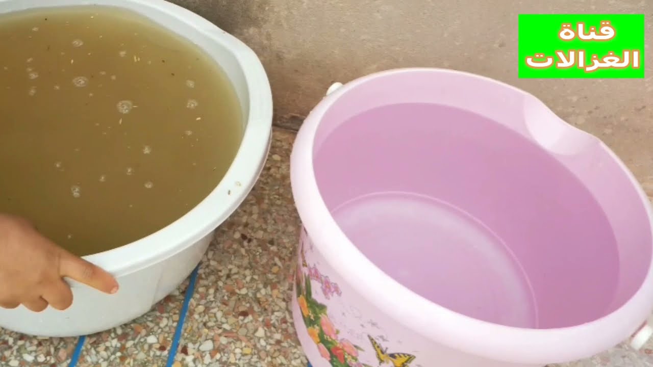 مراحل غسل القمح ف البيت