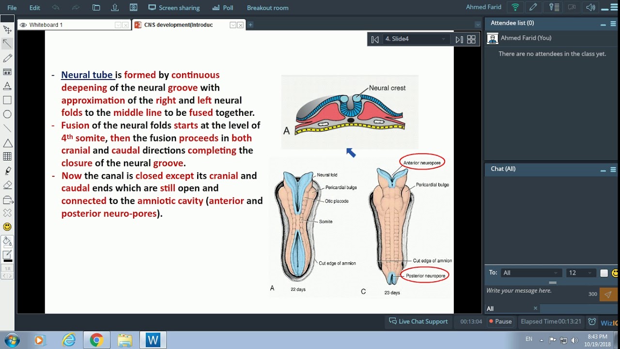 Embryology of Nervous System(1) - Introduction&Spinal Cord - Dr. Ahmed Farid