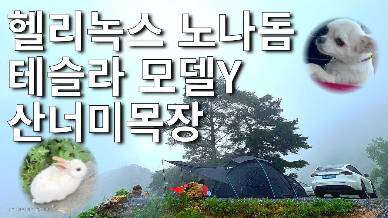 [ㄱㅅ] 캠핑에서 긴장 안하면 주옥같은 일이..🔥 | 헬리녹스 노나돔 풀세트 | 평창 산너미목장 | 테슬라 모델Y | 캠핑고수 노이비