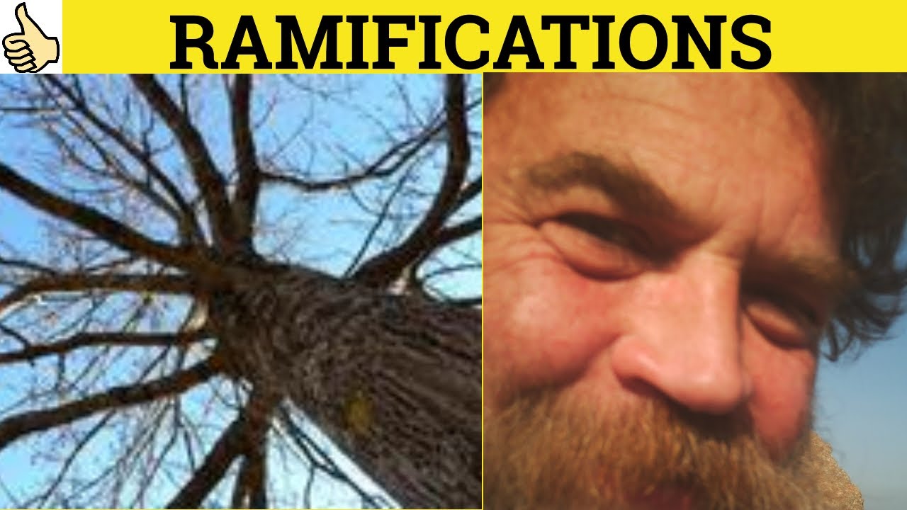 🔵 Ramifications - Ramify - Ramifications Meaning- Ramify Examples- Ramifications Definition- GRE3500