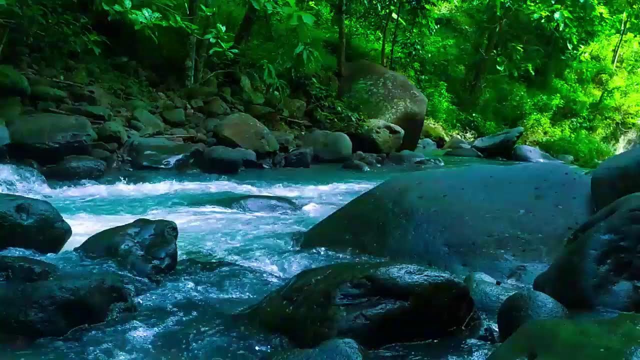 Tranquil River Ambience – Peaceful Nature Sounds for Calm and Deep Sleep