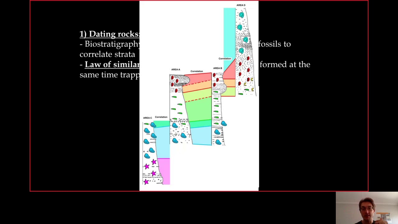 7-  Karoo biostratigraphy part1