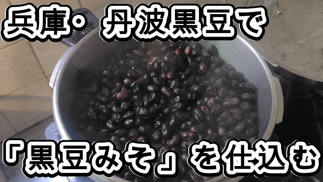 【自家製味噌】兵庫・丹波黒豆で「黒豆みそ」を仕込む
