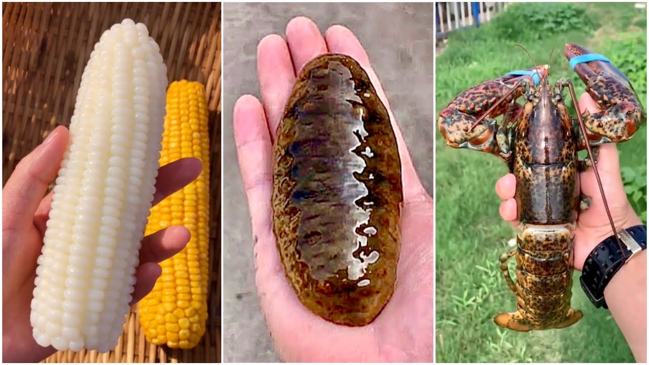 1 đồng mua được g&igrave; ? #32 &bull; Ẩm Thực Trung Quốc &bull; Tik Tok China | Moo Food