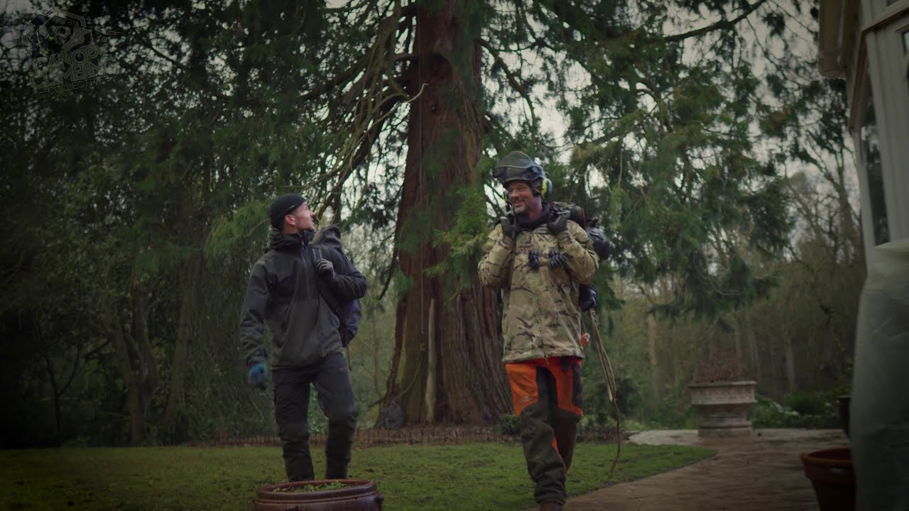 🌳🎥 FIRST TIME SRT FOR  PETE THE  ARBORIST 👍
