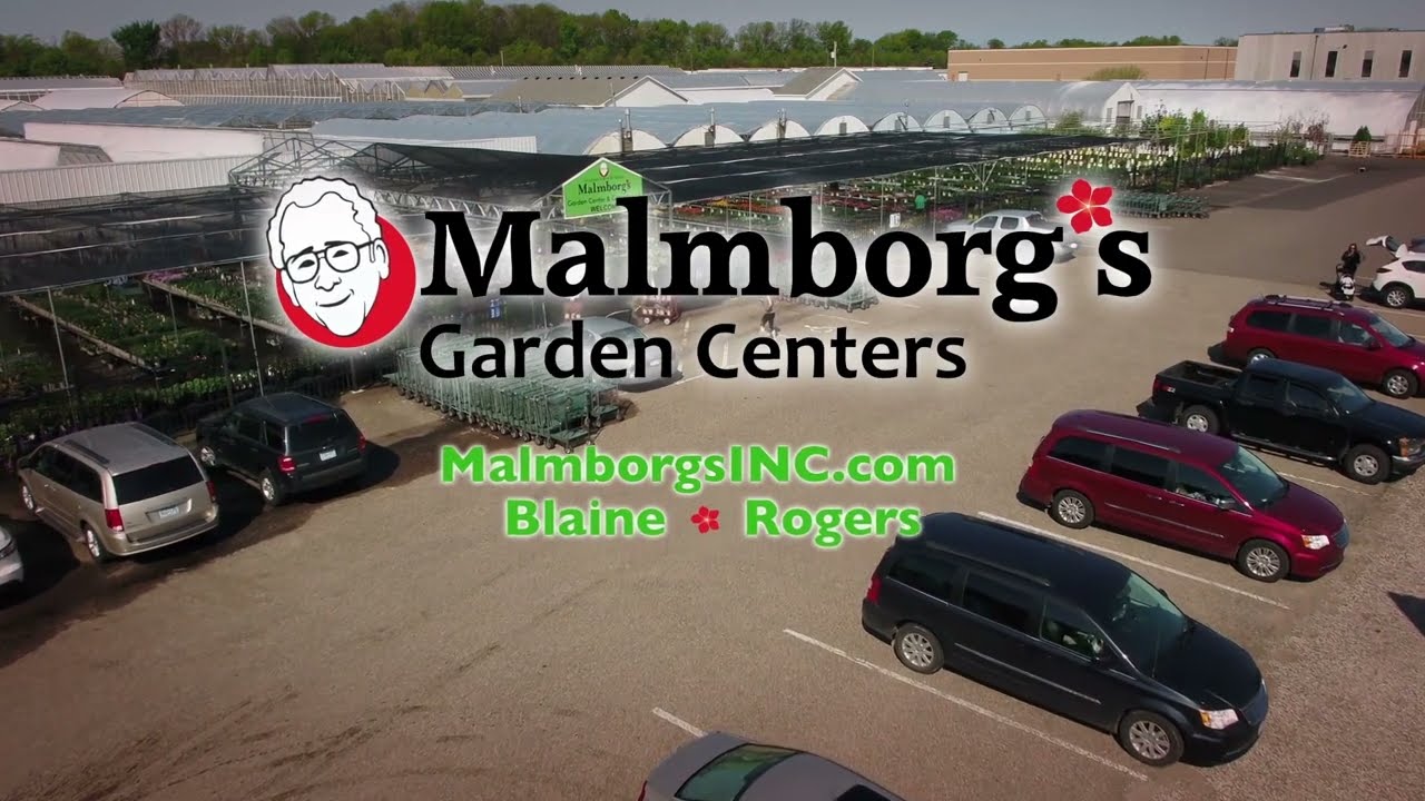 Malmborg's 2022