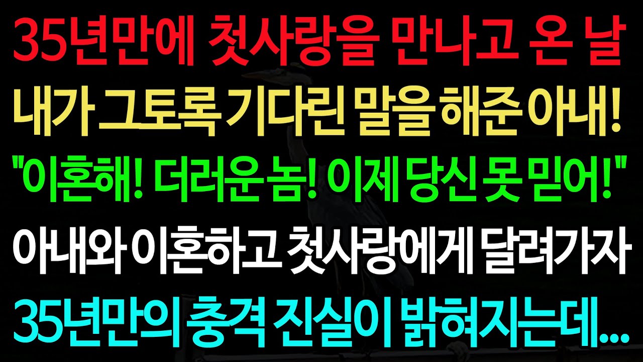 실화사연-35년만에 첫사랑을 만나고 온 날 내가 그토록 기다린 말을 해준 아내! 