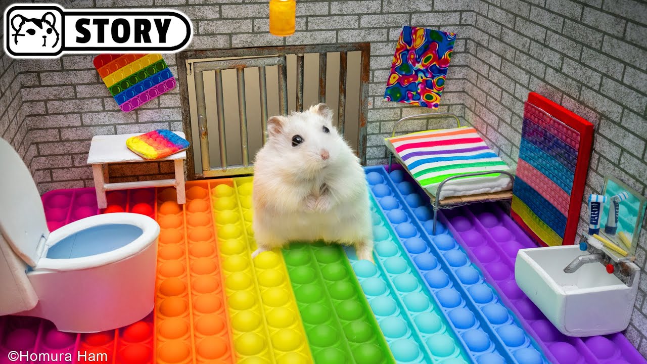 🐹 Хомяк сбегает из Pop It лабиринта для питомцев в реальной жизни 🐹 Хомура Хам