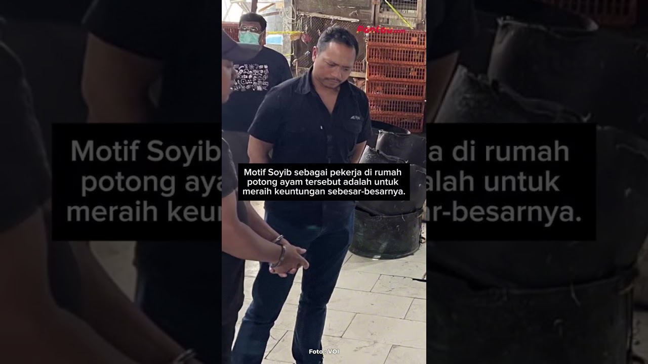 Penjual Ayam Gelonggongan Pakai Air Kotor di Pasar Kebayoran Lama Ditangkap 