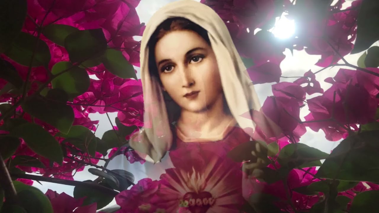 MAGNIFICAT - HIỆP LỄ ĐỨC MẸ - Lm Thái Nguyên