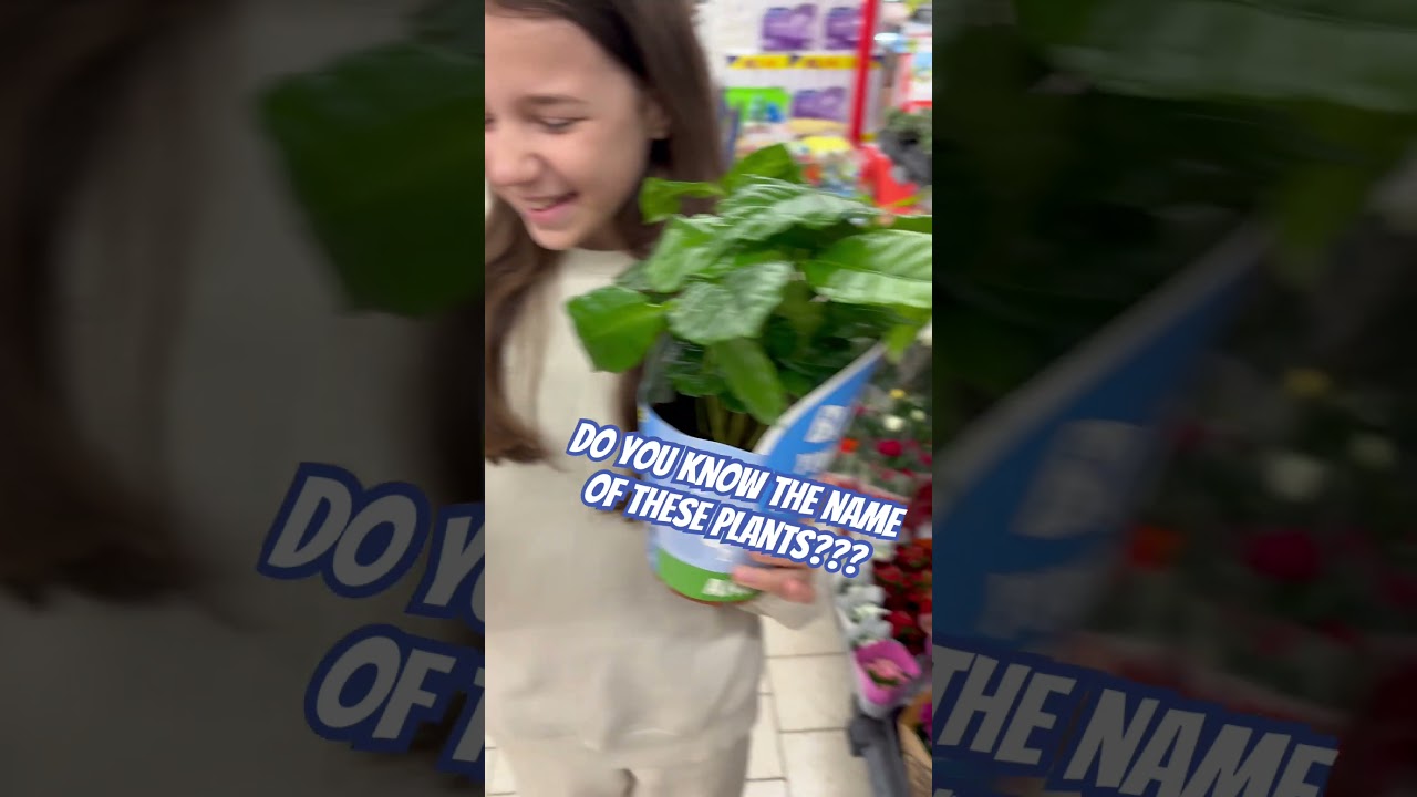 Do you know the name of these plants??? #daliyaanabel #iamdaliya #new2025 #plants #далияанабел