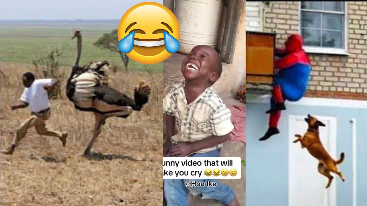 100 Best Funniest Videos of 2025 – Try Not to Laugh