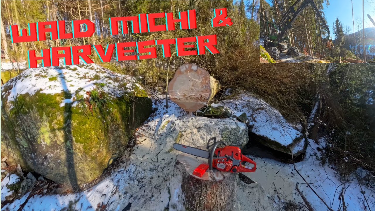 Wald Michi mit Harvester | Seilwinde am Limit