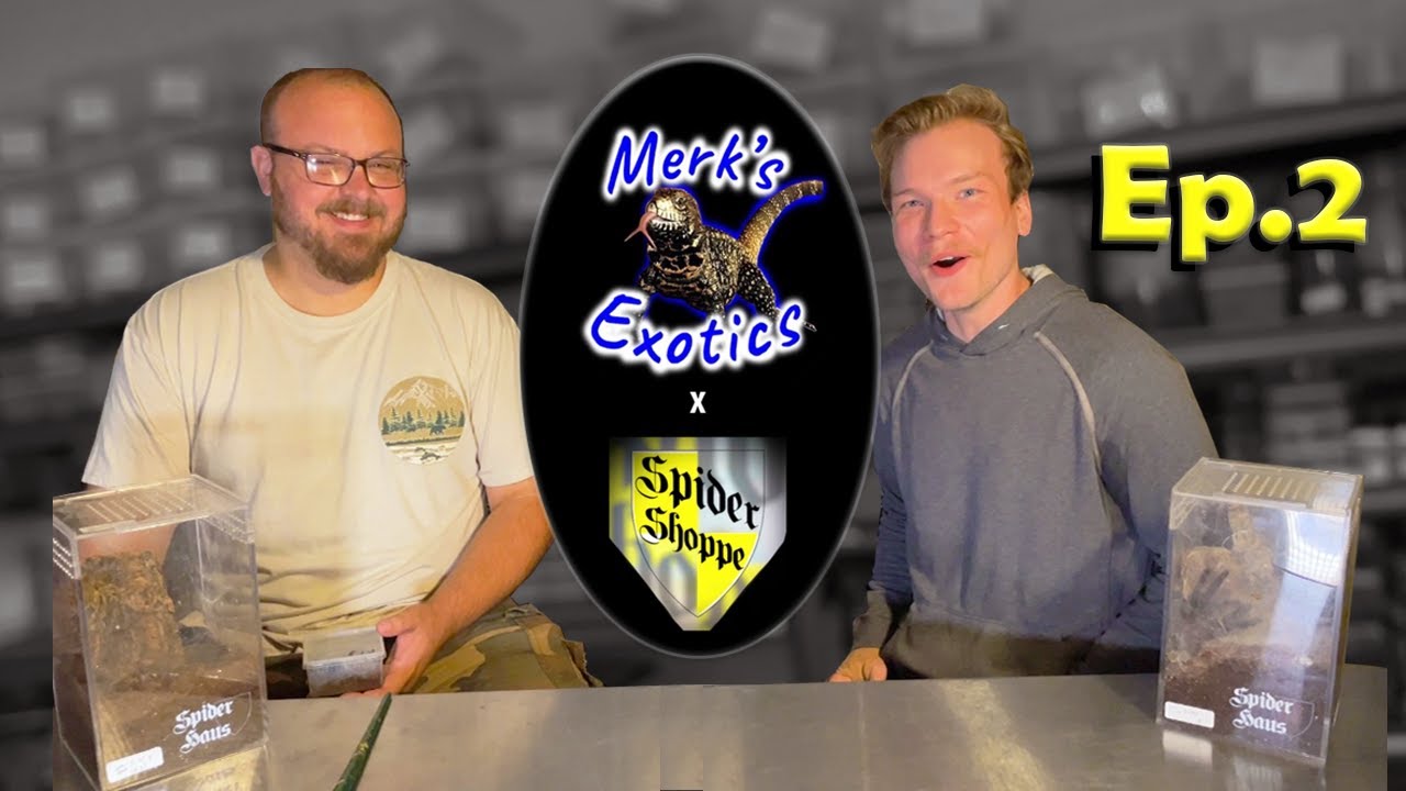 Overcoming Arachnophobia || The Spider Shoppe (Full Length) Ep.2