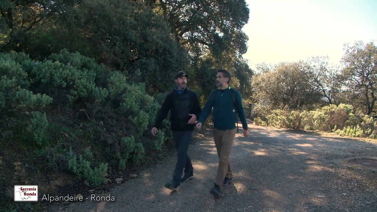 Gran Senda de la Serranía de Ronda (GR 141). Etapa 06.: Alpandeire - Ronda