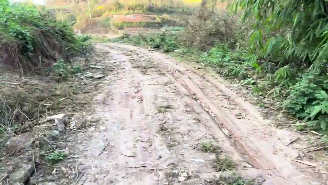 这就是马路一年后的样子，大家觉得这个钱花的值不值，还是花亏了？#大山深处 #山路 #泥巴路 #山区生活 #深山老林