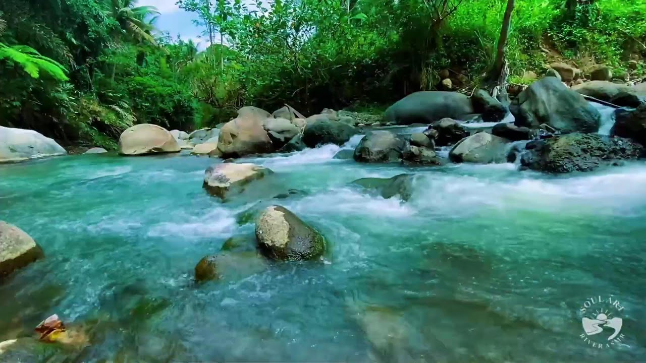 Hidden River in Dark Forest Night | Calm Flowing Water Sounds for Deep Sleep