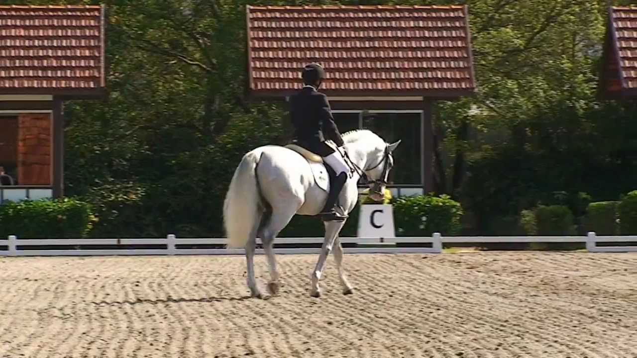 João Oliva: tetracampeão brasileiro - Horse Show Brasil
