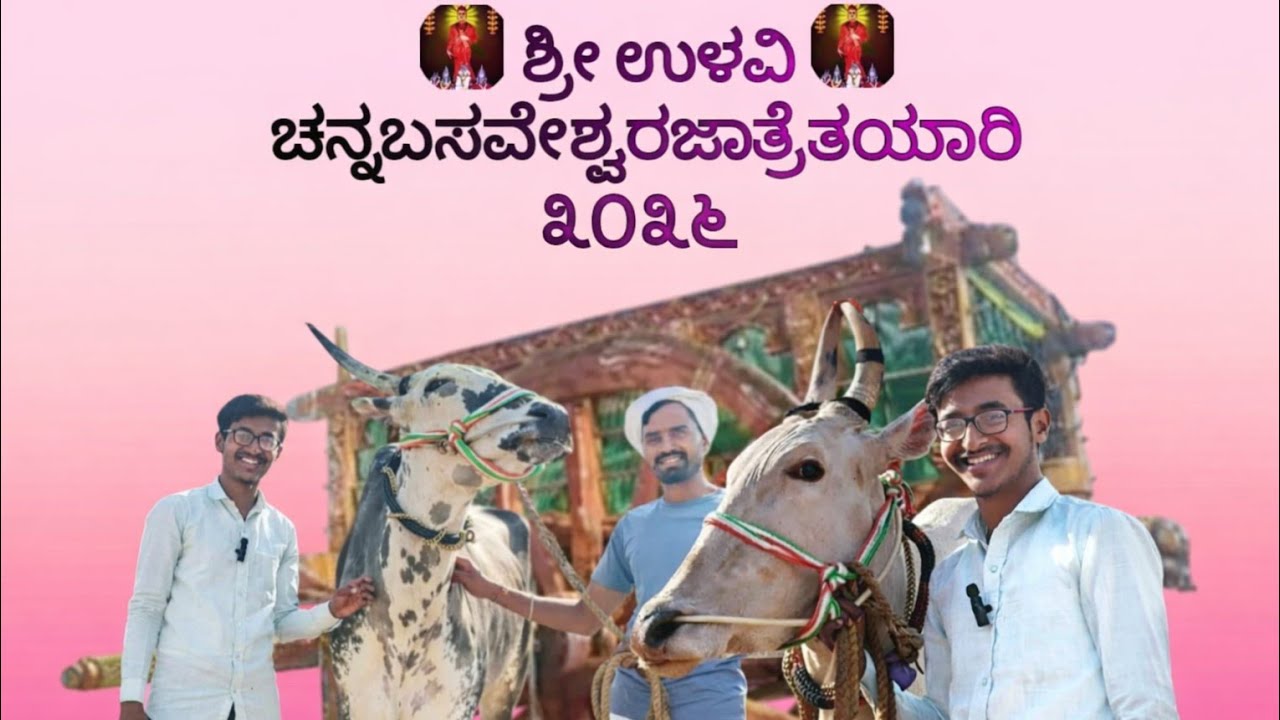 ಉಳವಿ ಚನ್ನಬಸವೇಶ್ವರ ಜಾತ್ರೆಯ ಸಿದ್ಧತೆಗಳು |2 ಲಕ್ಷ ಹೋರಿ | ರೈತ vlog 