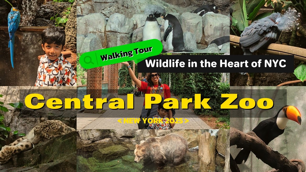 A day at Central Park Zoo | Wildlife in the Heart of NYC | NYC series vlog #6 | 