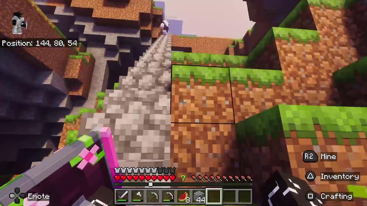 Playing some Minecraft with friends.