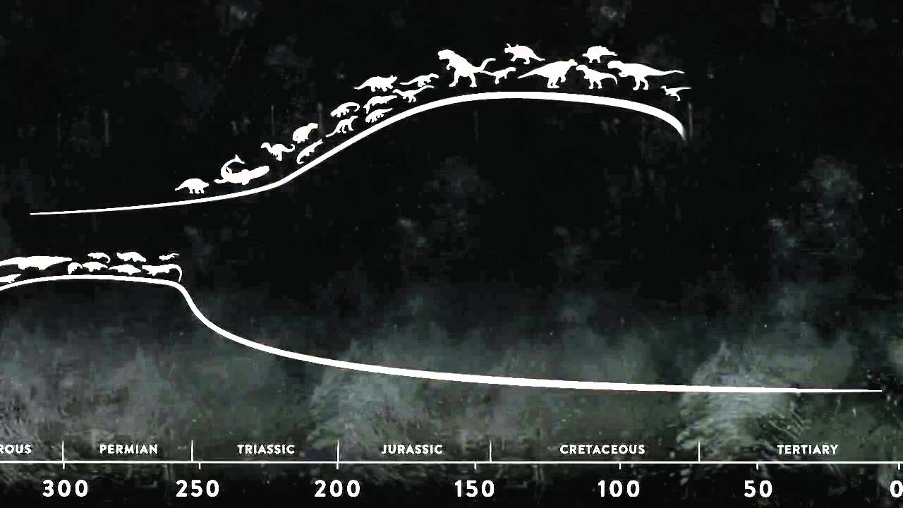 Ecology of Anti Entropy