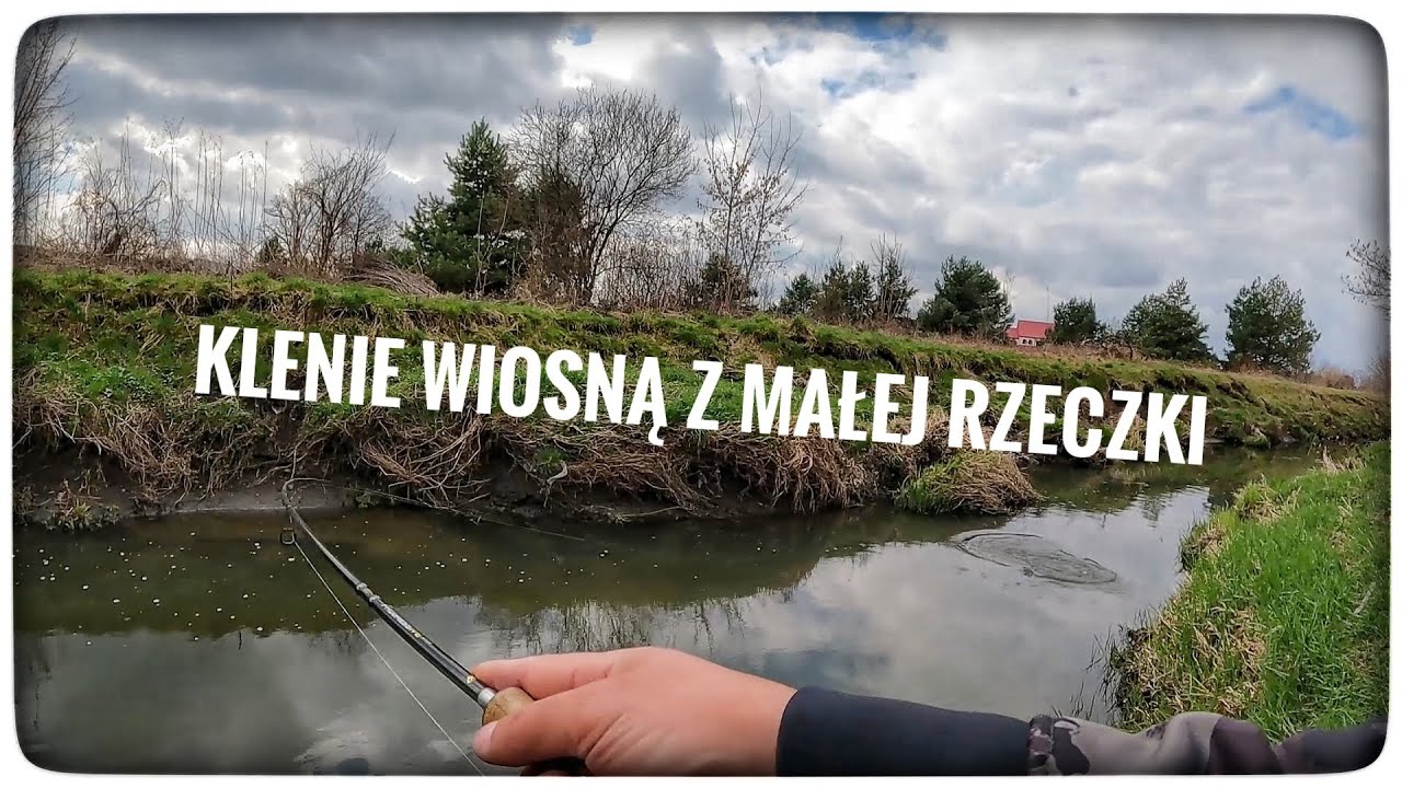 Klenie wiosną z małej rzeczki // kwiecień 2023