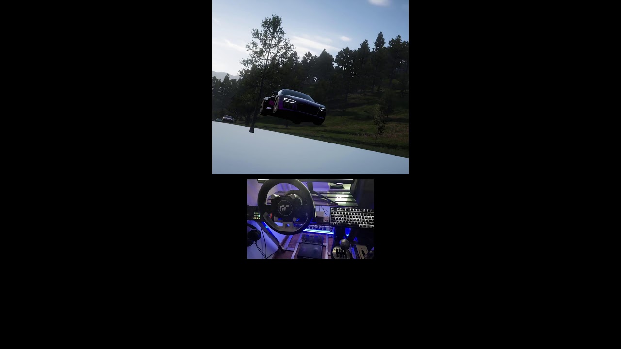 Forza Horizon 5 Live steering wheel