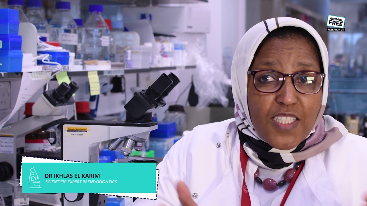 Chronic Pain Research - Animal Free Research UK