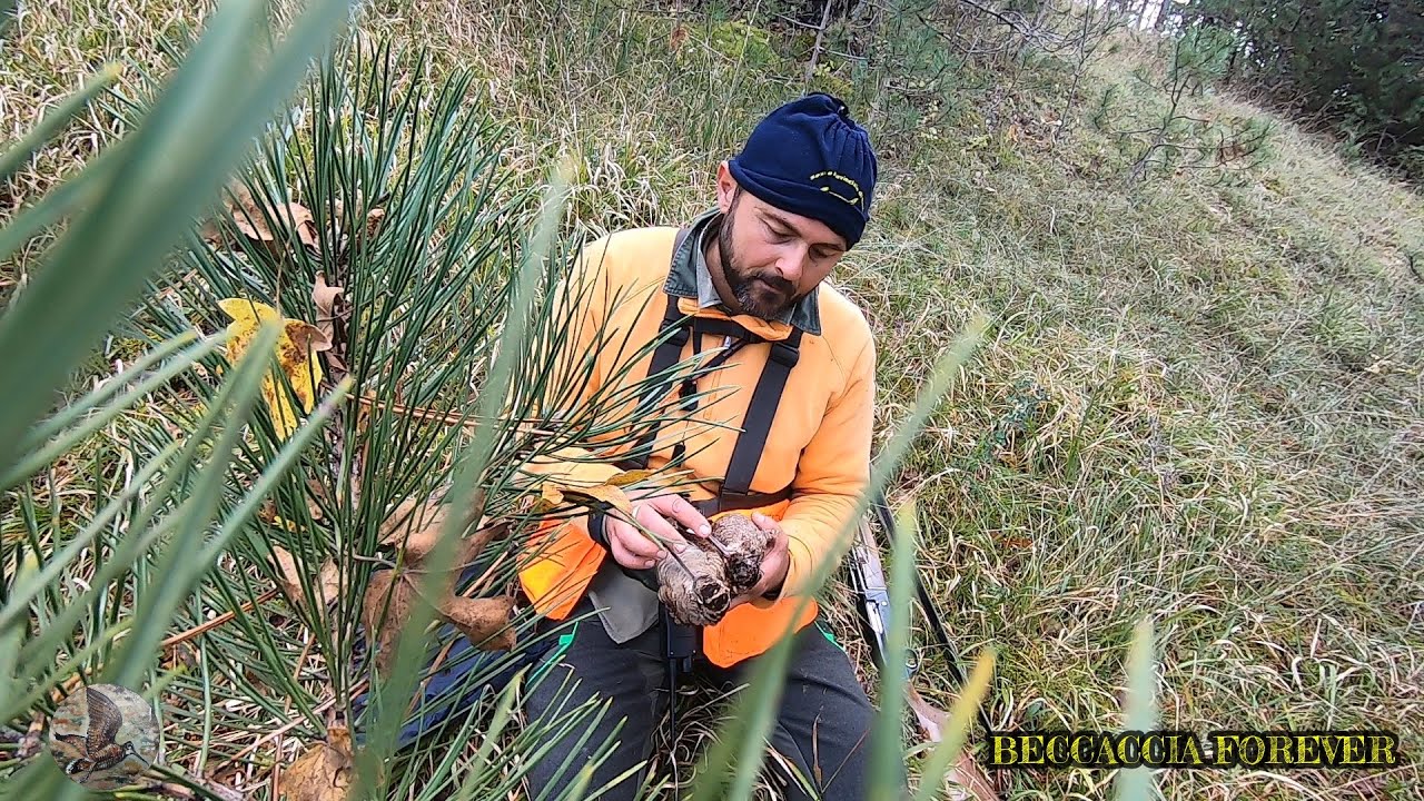 DUE BECCACCE PER INIZIARE LA NUOVA STAGIONE