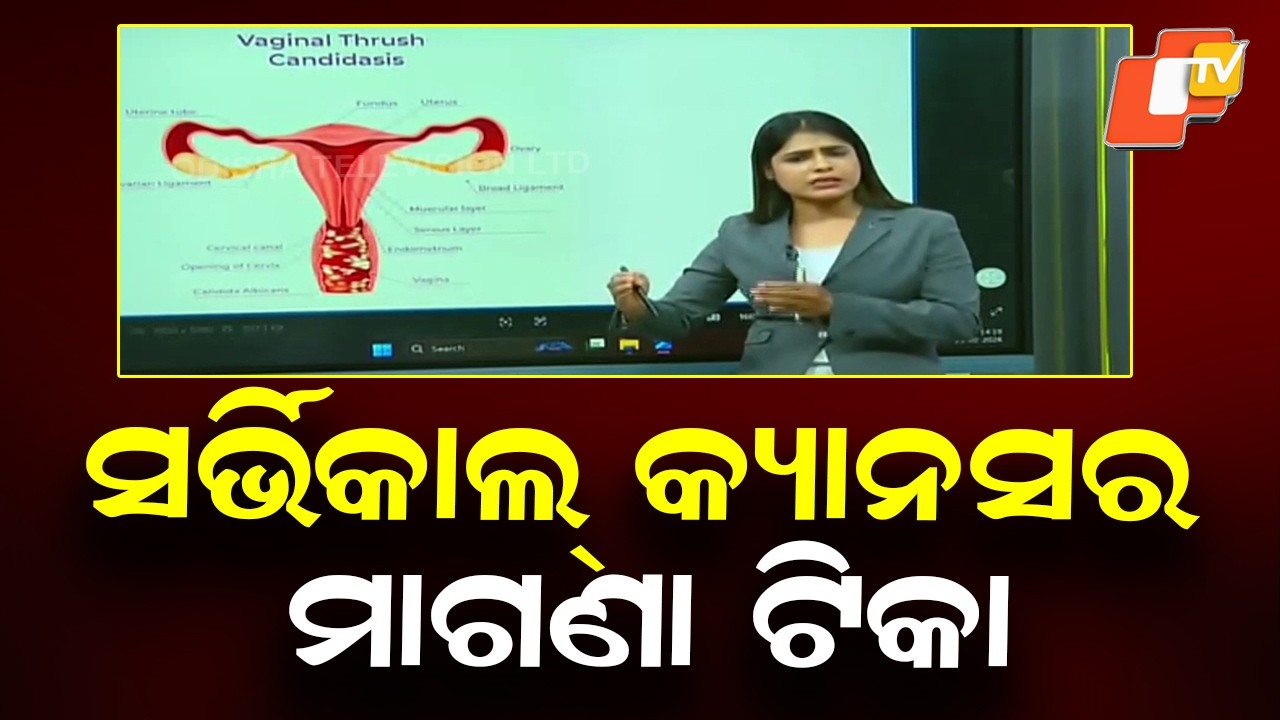 How Cervical Cancer Develops: Symptoms & Early Detection Explained