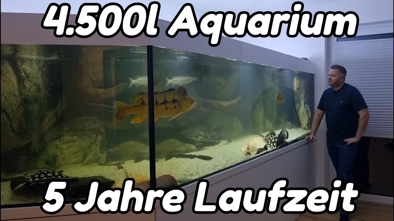 4.500l Aquarium - 5 Jahre Laufzeit | Neugestaltung der Deko | Entwicklung der Fische