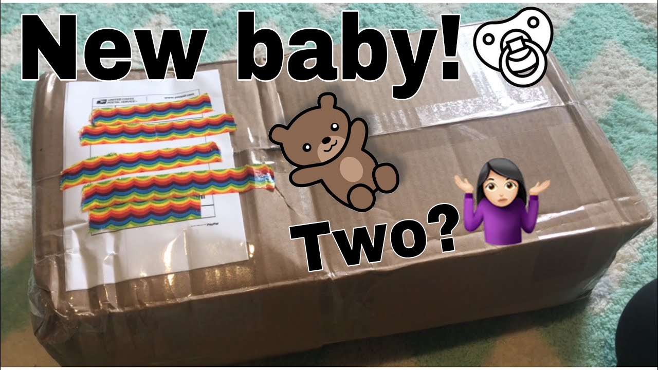 Box Opening Of My Reborn Twins!