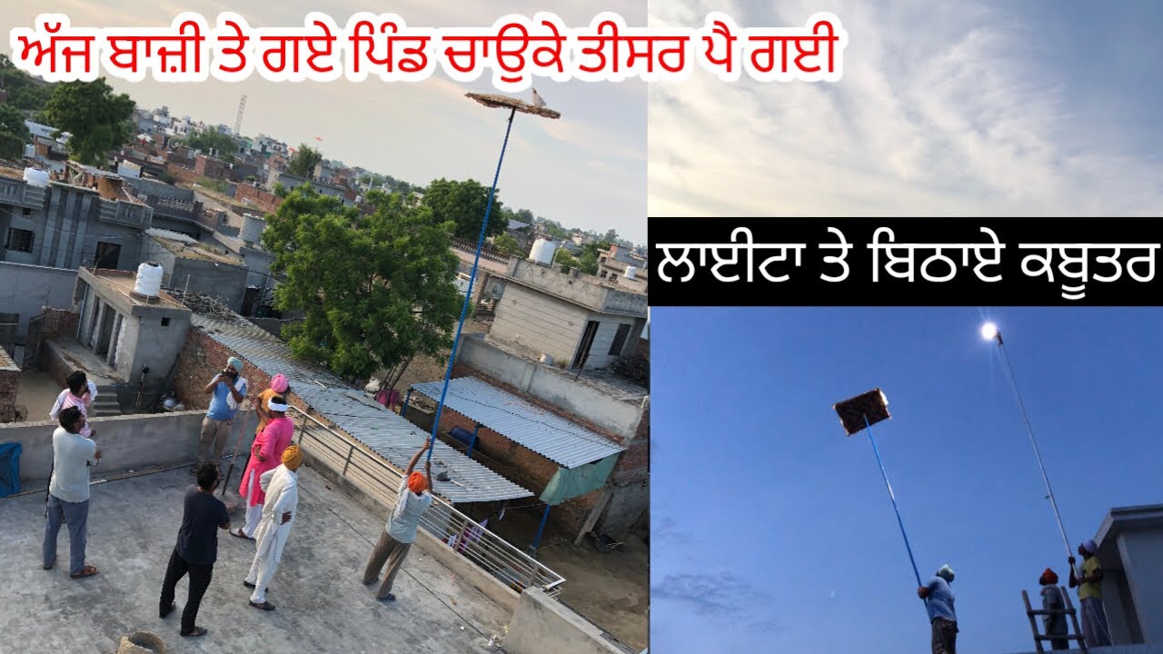 ਲਓ ਜੀ , ਅੱਜ ਗਏ ਦੂਸਰ ਦੀ ਬਾਜੀ ਤੇ🕊️ ਪਿੰਡ ਚਾਉਕੇ ਤੀਸਰ ਪੈ ਗਈ ਬਾਜੀ ਤੇ॥ ਦੇਖੋ ਸਾਰਾvlog #kabootar #pigeon 