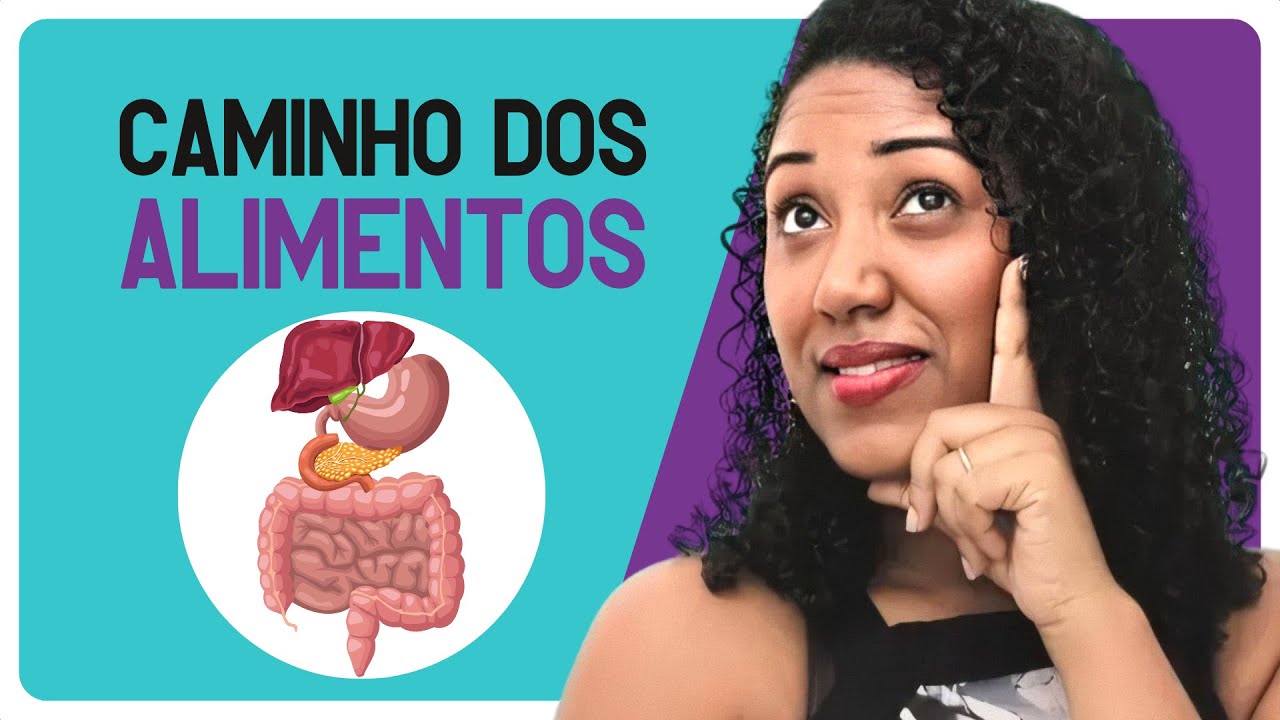 O Caminho do Alimento | Ci&ecirc;ncias | 5&ordm; ano