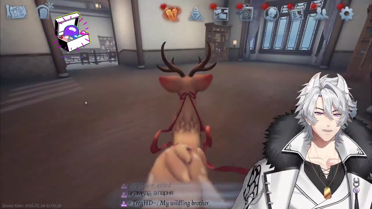 Tuesday Ranked IDV w/ Zeez and Justice! | Comfy Wolf stream 🐺🐺