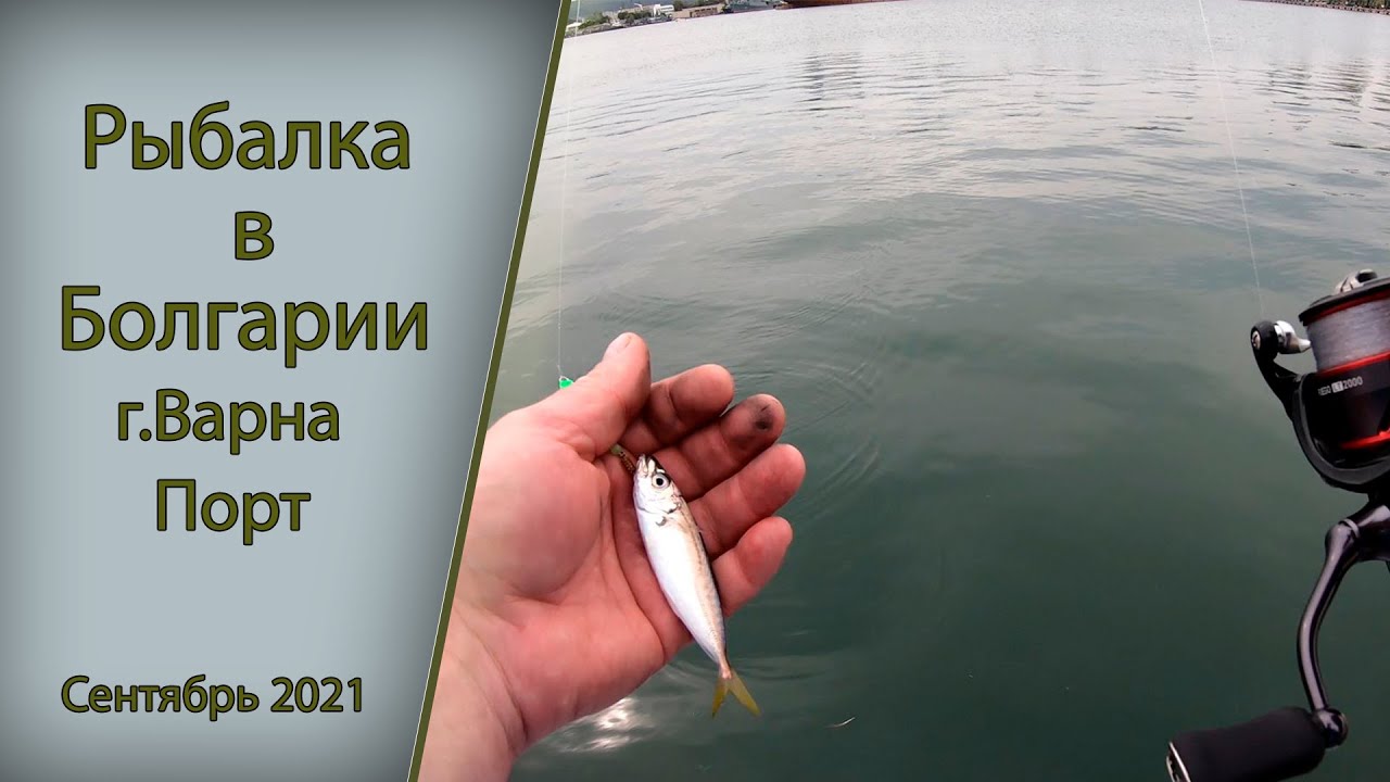 Рыбалка в Болгарии г. Варна,  Порт. Сентябрь 2021
